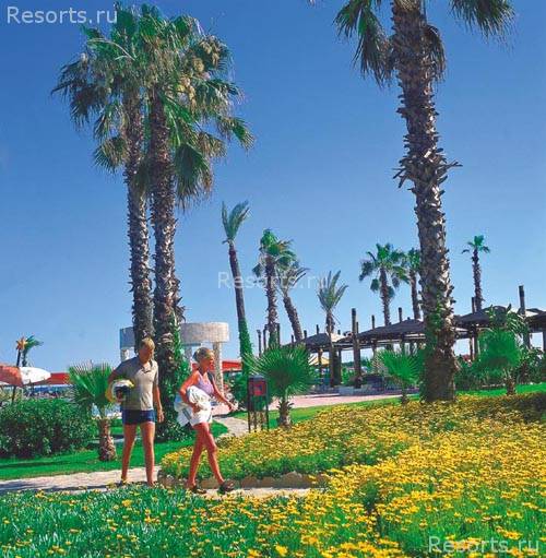 Arcadia Hotel 7
